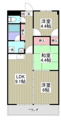 アメニティ小林の物件間取画像